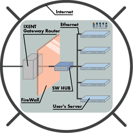 �ͥåȥ����